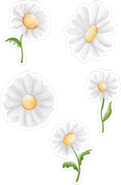 Papatya Yenilebilir Cupcake ve Pasta Resim Baskı ürün görseli