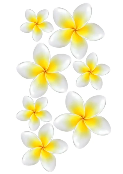 Çiçek Yenilebilir Cupcake ve Pasta Resim Baskı ürün görseli