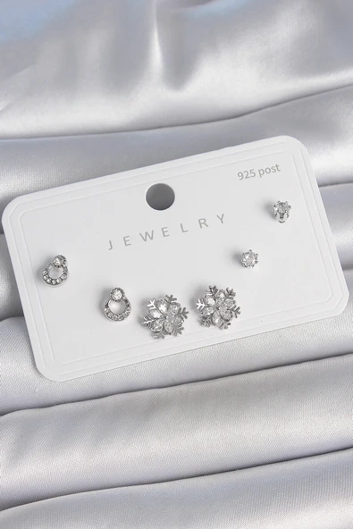 Pirinç Gümüş Renk Zirkon Taşlı Kar Tanesi Model 925 Ayar Gümüş Çivi Kadın Küpe Seti ürün görseli