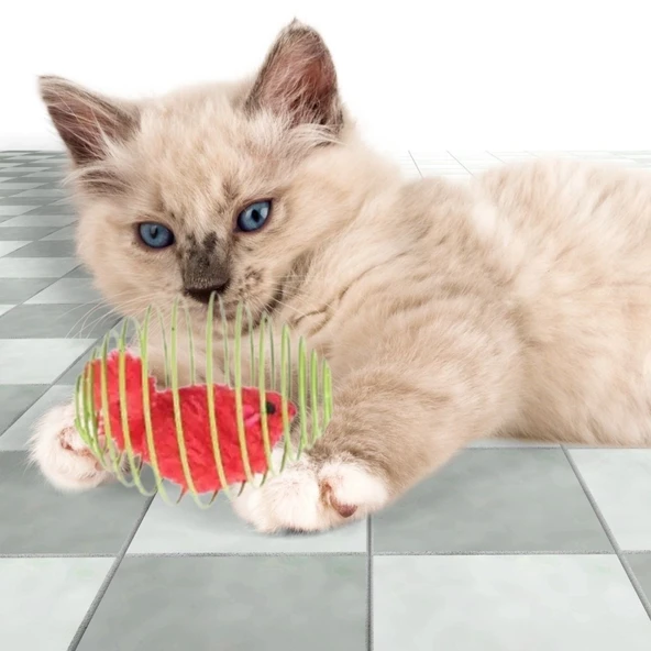 BUFFER® Yaylı Metal Fareli Kafes Kedi Oyun Topu Sıçrayan Spiral Kedi Topu - 4