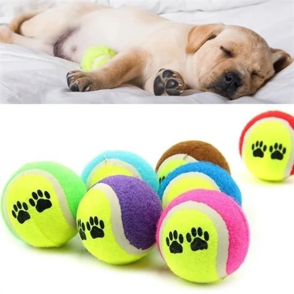 BUFFER®  3lü Renkli Desenli Tenis Topu Kedi Köpek Oyuncağı - 5
