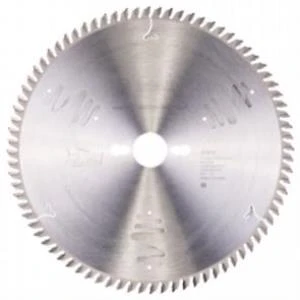 EXLP Daire Test. Bıç. 250*30 mm 80 D T ürün görseli 1