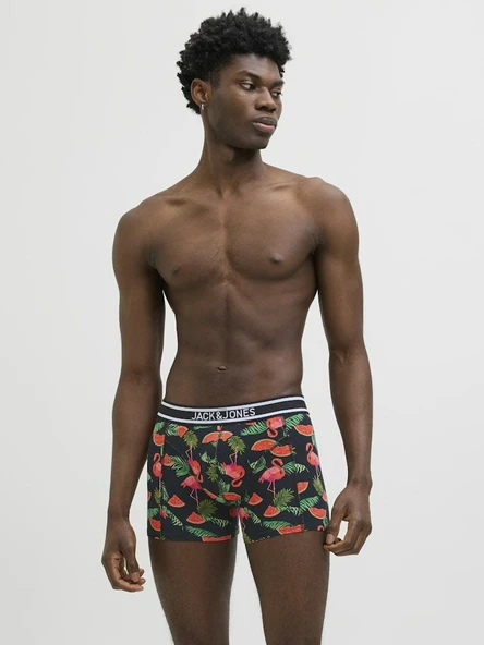 Jack Jones Watermelon 3 Lü Paket Erkek Boxer 12273099 - Resim 2