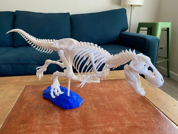 Gastralia (Göbek Kaburga) Ve Diğer Anatomik Düzeltmeler İle T-Rex İskeleti Plastik Aparat