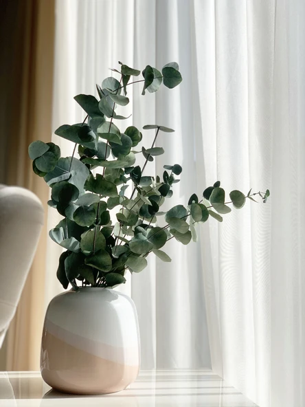 YAPAY ÇİÇEKÇİNİZ Dekoratif 3’lü Set: 100 cm Yapay Benjamin Ağacı + Şoklanmış Okaliptus Demeti + Yapay Limon – Ev & Ofis Doğal Dekorasyon - Resim 2