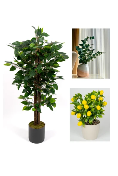 YAPAY ÇİÇEKÇİNİZ Dekoratif 3’lü Set: 100 cm Yapay Benjamin Ağacı + Şoklanmış Okaliptus Demeti + Yapay Limon – Ev & Ofis Doğal Dekorasyon ürün görseli