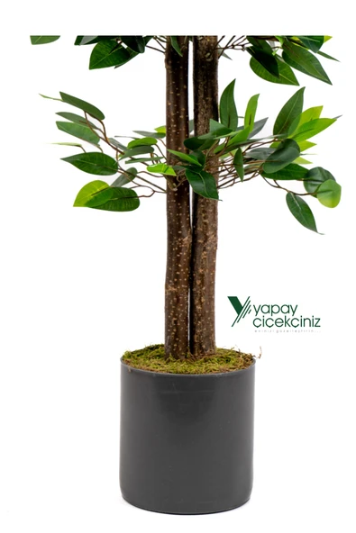 YAPAY ÇİÇEKÇİNİZ Dekoratif 3’lü Set: 100 cm Yapay Benjamin Ağacı + Şoklanmış Okaliptus Demeti + Yapay Limon – Ev & Ofis Doğal Dekorasyon - Resim 5