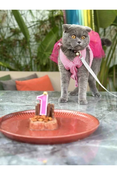 Gobo Pembe Kareli Kalpli Tüllü Kedi Köpek Kıyafeti Elbisesi - 1