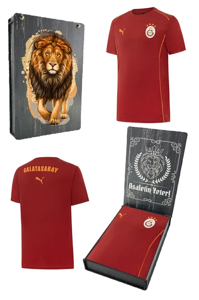 Galatasaray Orijinal Lisanslı 2024/25 Kırmızı Antrenman T-Shirt Gs Aslan Baskılı Hediyelik Ahşap Kutulu ürün görseli