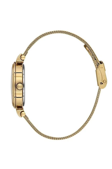 Daniel Klein Kadın Kol Saati DK.1.13966-4 - Resim 2