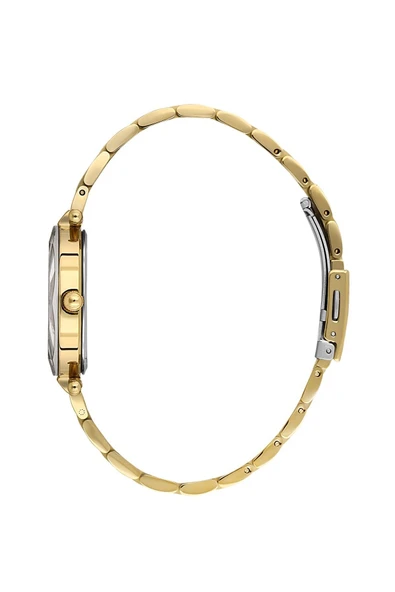 Daniel Klein Kadın Kol Saati DK102-DKE.6.10891-2 - Resim 2