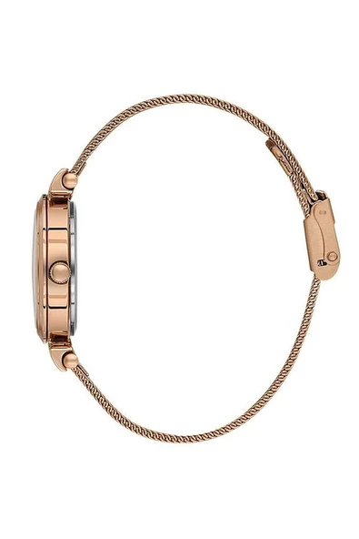 Daniel Klein Kadın Kol Saati DK.1.13966-5 - Resim 2