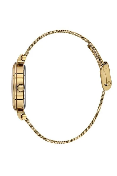 Daniel Klein Kadın Kol Saati DK.1.13966-3 - Resim 2