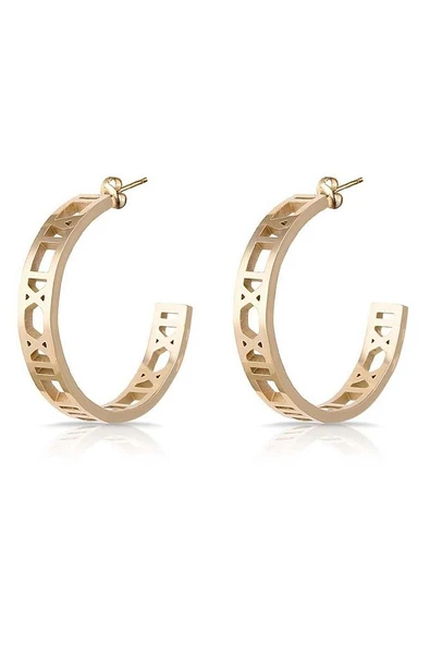 Orıjınal Kadın Çelik Küpe