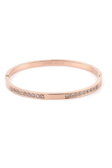 Daniel Klein KADIN ÇELİK BİLEKLİK DKJ.3.1037-3 ürün görseli