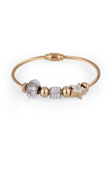 Daniel Klein Kadın Çelik Bileklik DKB.3.2004.04 ürün görseli