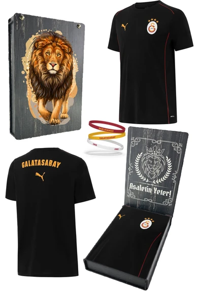 Galatasaray Orijinal Lisanslı 2024/25 Sıfır Yaka Siyah Antrenman T-Shirt + Bileklik Set Hediyelik Ahşap Kutulu ürün görseli 1