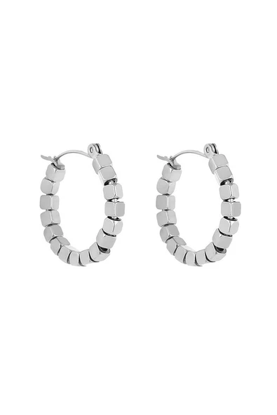 Daniel Klein Kadın Çelik Küpe DKJ.3.5034-1 ürün görseli