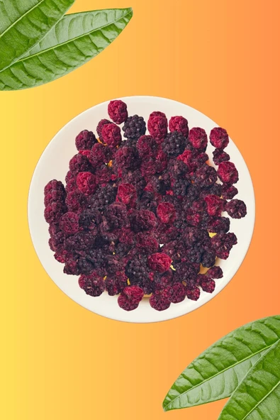 Freezya Freeze Dried Dondurularak Kurutulmuş Böğürtlen - 15 gr - 3