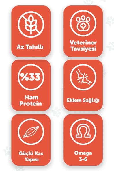 Pawgo Salmon Supreme 2 Kg | Kısırlaştırılmış | Hypoallergenic | Somonlu | Kedi Maması - 2