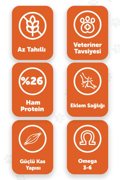 Pawgo Mini Majesty 2 Kg | Küçük Irk | Kuzu Etli | Yetişkin Köpek Maması - 2