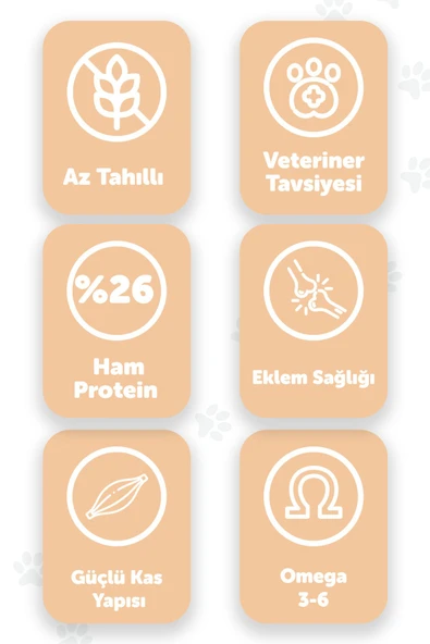 Pawgo Puppy Prime 2 Kg | Kuzu Etli | Yavru Köpek Maması - 2