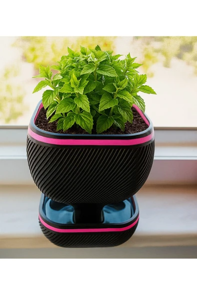 Susuz Kalmayan Bitkiler İçin Kendi Kendine Sulanan Saksı ürün görseli