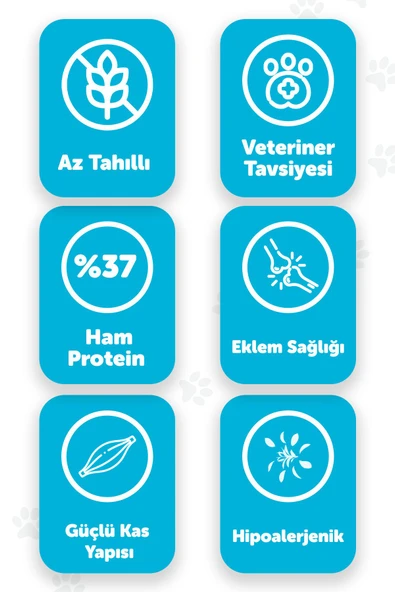 Pawgo Kitten King 2 Kg | Hypoallergenic | Tavuk Etli | Yavru Kedi Maması - 2