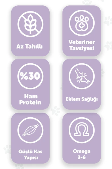 Pawgo Premier Perfection 15 Kg | Tavuk Etli | Hypoallergenic | Düşük Tahıllı | Kedi Maması - 2