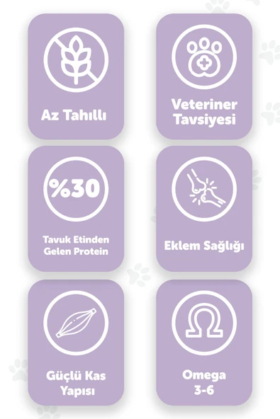 Pawgo Premier Perfection 2 Kg | Tavuk Etli | Hypoallergenic | Kedi Maması - 2