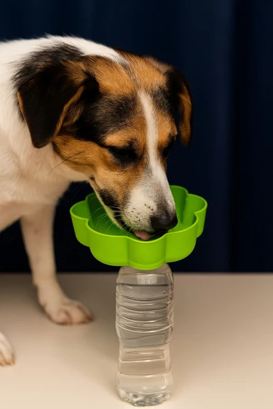 Açık Hava Evcil Hayvan Su Kabı - Köpekler Ve Kediler İçin - 1