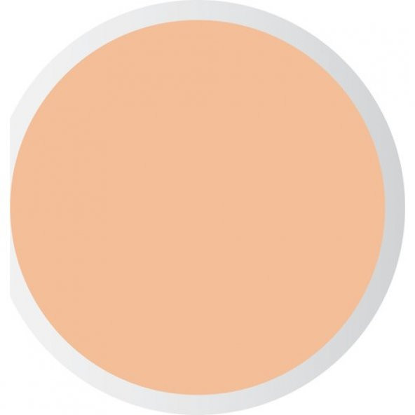 PASTEL PROFASHION LİKİT CONCEALER 103 - 3