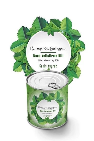 Konserve Bahçem Nane Yetiştirme Kiti - Resim 2