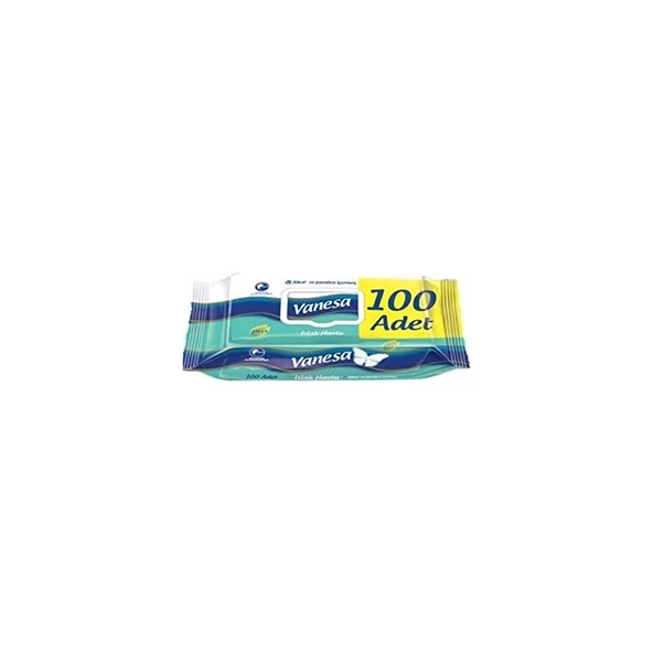 Vanesa Islak Havlu 100 Adet x 4