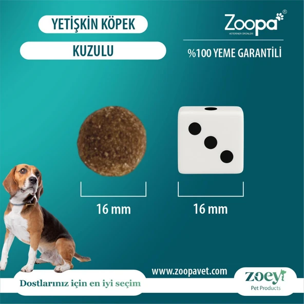 Zoey Kuzulu Yetişkin Köpek Maması 15 KG - Resim 4