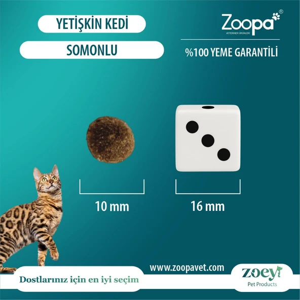Zoey Somonlu Yetişkin Kedi Maması 15 KG - 4