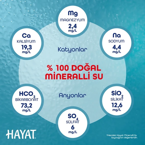 Hayat Sporcu Kapak Su 12X750 ml - Resim 5