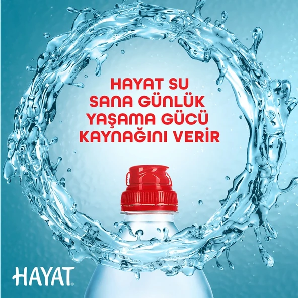 Hayat Sporcu Kapak Su 12X750 ml - Resim 6