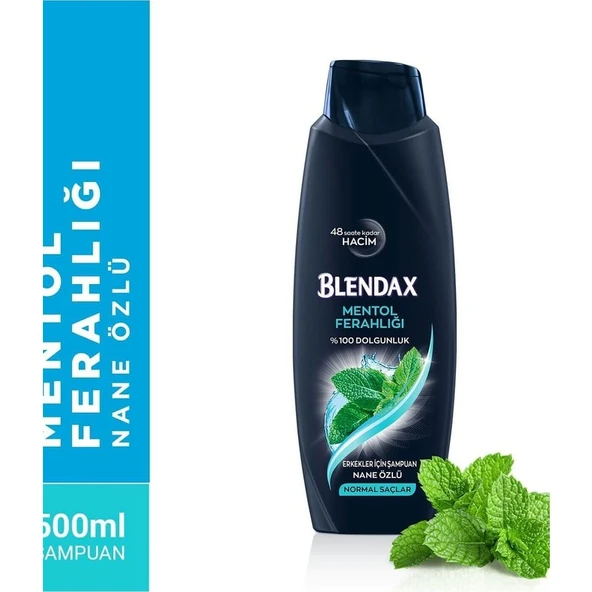 Blendax Erkek Şampuan Mentol 500 Ml - Resim 2
