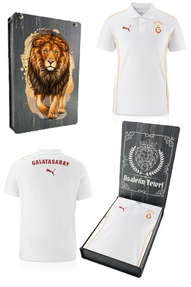 Galatasaray Orijinal Lisanslı Polo Yaka Beyaz Antrenman T-Shirt Gs Aslan Baskılı Hediyelik Ahşap Kutulu ürün görseli 1
