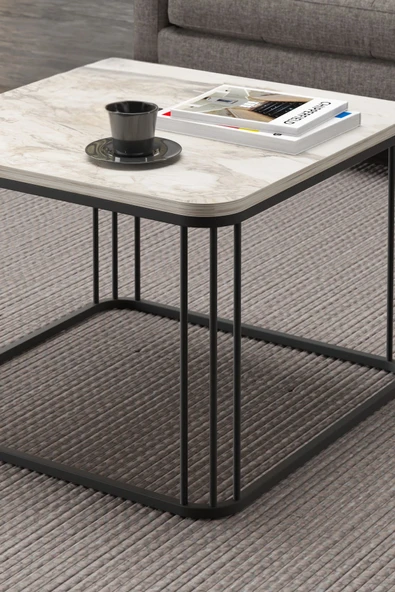 Devin Dekor Mobilya Orta Sehpa Tekli Alize Efes - Resim 3