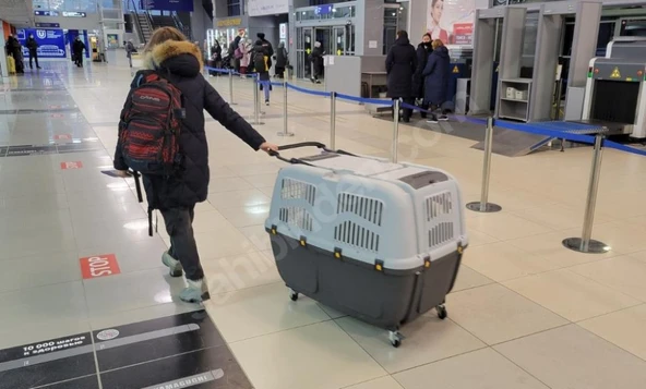 Skudo-4 Tekerleksiz Taşıma Kafesi - Resim 6