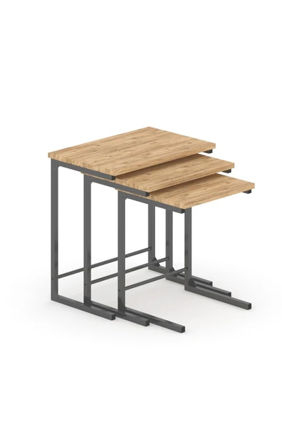 TOLIAHOME 3lü Zigon Sehpa Metal Zigon Sehpa C Sehpa - 3