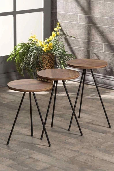 Devin Dekor Mobilya Zigon Sehpa 3 Lü Siyah Metal Ayak Ceviz Tabla - 2