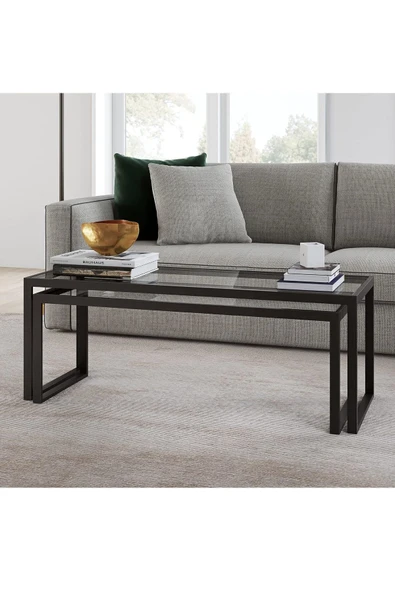 TOLIAHOME Modern Siyah Renk 2’li Metal İskeletli Temper Camlı Zigon Orta Sehpa - 3
