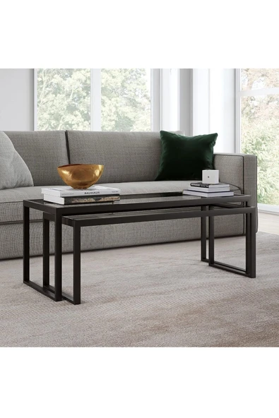 TOLIAHOME Modern Siyah Renk 2’li Metal İskeletli Temper Camlı Zigon Orta Sehpa - 2