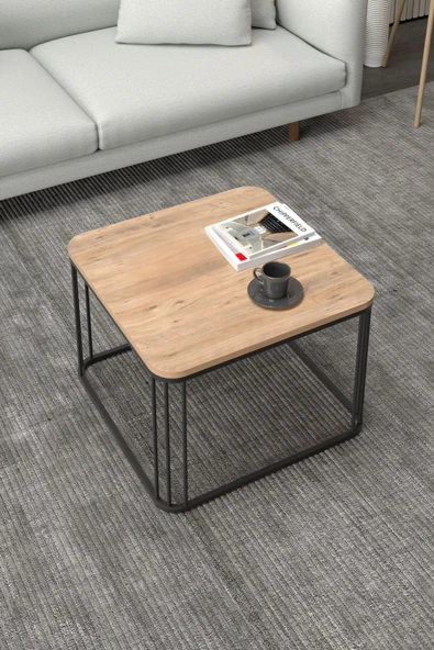 Devin Dekor Mobilya ORTA SEHPA TEKLİ ALİZE CEVİZ - 2