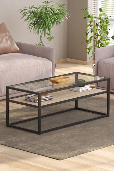 TOLIAHOME Modern Endülüs Siyah Renk Metal Iskeletli Temper Camlı 2 Katlı Dikdörtgen Orta Sehpa - 2