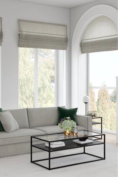 TOLIAHOME Modern Siyah Renk Metal İskeletli Temper Camlı 2 Katlı Dikdörtgen Orta Sehpa ürün görseli 1