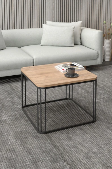 Devin Dekor Mobilya ORTA SEHPA TEKLİ ALİZE CEVİZ - 3